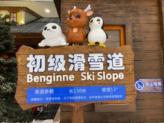 -长沙湘江冰雪世界