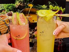 -花菇朵·云山雀 ll 野生菌锅·野果酸汤·精品滇菜(万柳店)