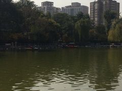 -莲湖公园