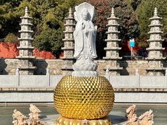 -泰山风景名胜区-普照寺