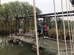 -长兴太湖图影湿地文化园