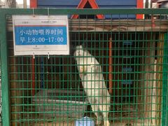 -同里湖度假村(二期店)