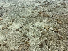 -金莲记(茨厂街店)