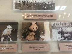 -北京动物园-畅观楼