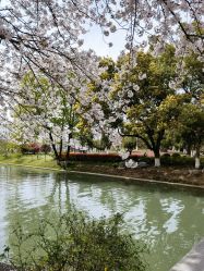 -玄武湖景区-情侣园游乐场