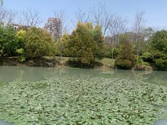 -三垟湿地