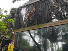 -海南热带野生动植物园