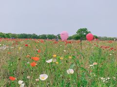-上海杨姆庄园