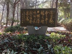 -宋井风景区