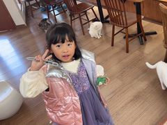 -有猫主题·治愈系猫咖(曾厝垵店)