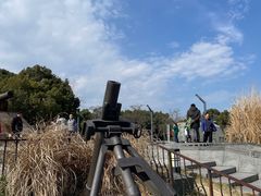 -上海吴淞炮台湾国家湿地公园
