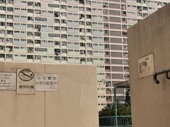 -彩虹村