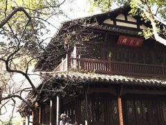 -杭州植物园