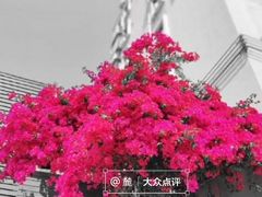 -大芬美术馆