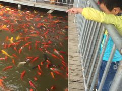 -泰安地下龙宫景区