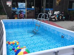 -康旭宠物医院(郑州总院)