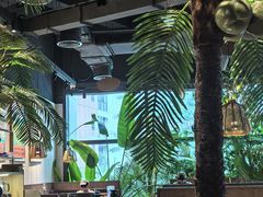 -大头椰·椰子鸡火锅(南宁万象城店)