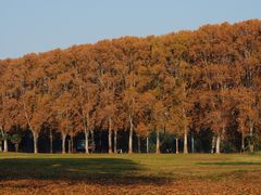 -河南省黄河迎宾馆