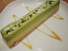 -柴务处·柴犬主题狗咖