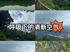 -阳台山森林公园