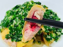 -新雅粤菜馆(南京东路店)