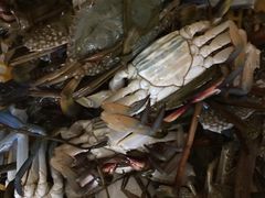 -浪琴湾尾角仔海鲜坊