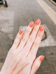 -绘甲社NACHO&DAI SALON