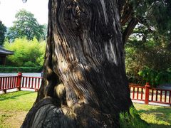 -黄帝陵