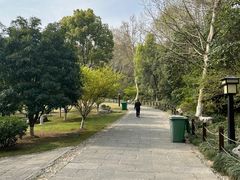 -习家池