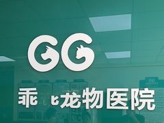 -乖乖宠物医院·猫科·急重症中心(车站北路分院)