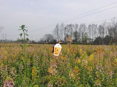 -中国天府农业博览园