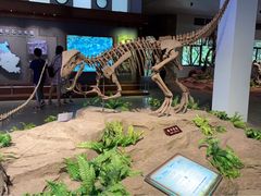 -自贡恐龙博物馆