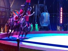 -兴芮温泉度假区