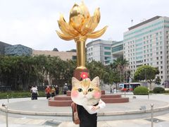 -金莲花广场