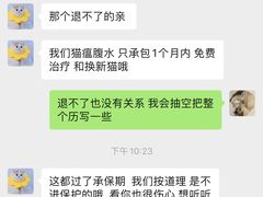 -喵百万·布偶·蓝金金渐层英短·猫舍(百子湾店)