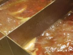 -海底捞火锅(邯郸新世纪中心店)