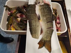-胖师鱼馆非遗砂锅雅鱼(大北街店)