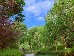 -宁波九龙湖开元度假村