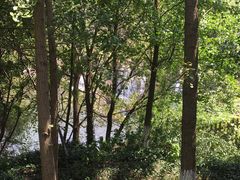 -白马涧龙池景区