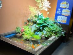 -隐炉和牛烧肉店(群力店)