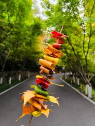 -HEYAN荷妍专业脱毛连锁机构