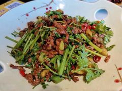 -京城小江南·北京烤鸭·江南土菜·白鱼(中关村店)