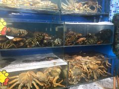 -蚝专家(北滘店)
