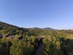 -大唐贡茶院