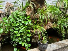-蔼若春.传承三十年云南菜(金碧公园店)