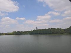 -长广溪湿地公园