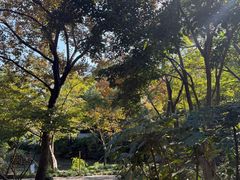 -秋霞圃