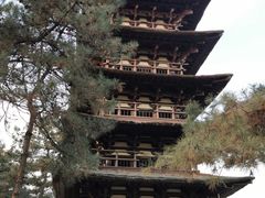 -北京世界公园
