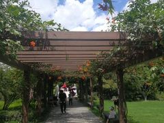 -白马涧龙池景区