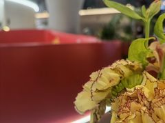 -鑫悦诚府·新鲁菜·餐厅(趵突泉店)